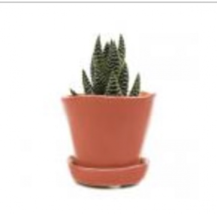 Tika Orange Pot with Saucer � 3"