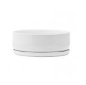 White Ceramic Dish Planter � 7.25"