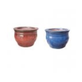 Fishbowl Self-Watering Pot � 8" (sold separately)