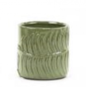 Green Fern Pot � 4.5" x 4.7" H