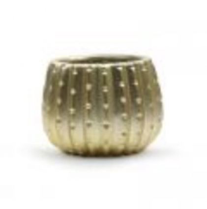 Cactus Pot � Matte Gold � 5" x 5" H