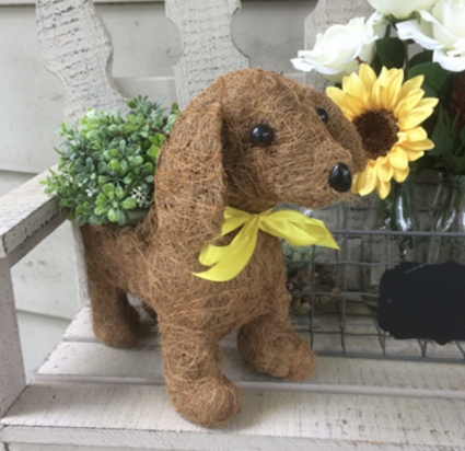 Daisy the Coco-Fiber Dog Topiary Planter