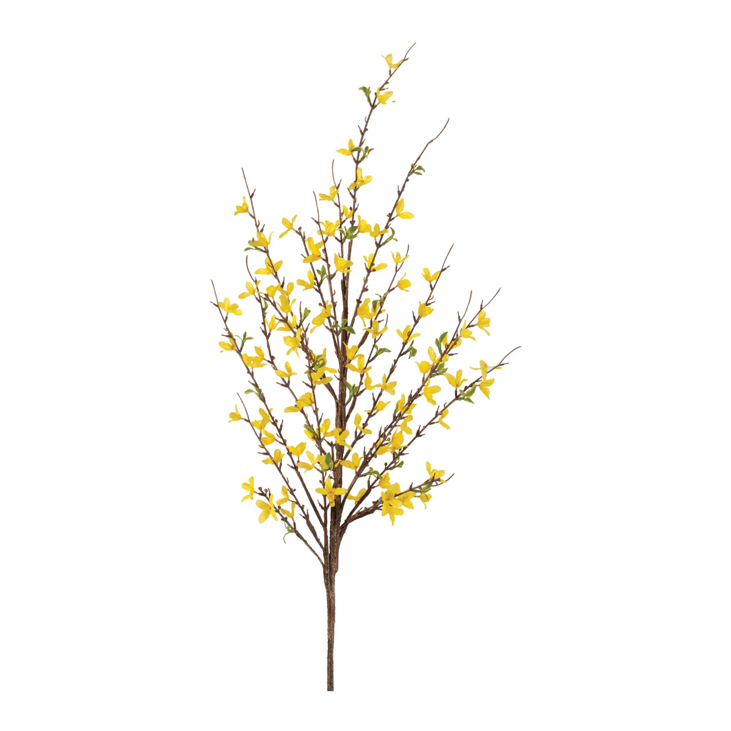 Forsythia Branch 51" 
