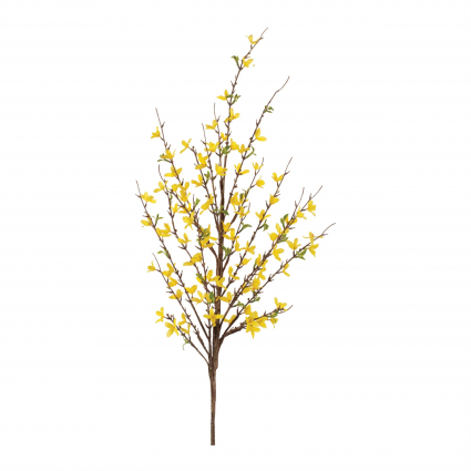Forsythia Branch 51" 