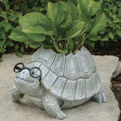 Pudgy Turtle with Glasses Planter