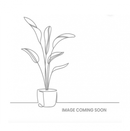 Sahara Self-Watering Pot � Cotton & Chocolate 8"