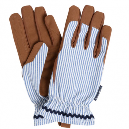 Collector Gloves � Blue Stripe