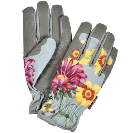  Asteraceae Gloves