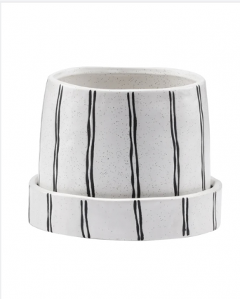 Black Stripe Tapered Planter with Saucer 4.25"