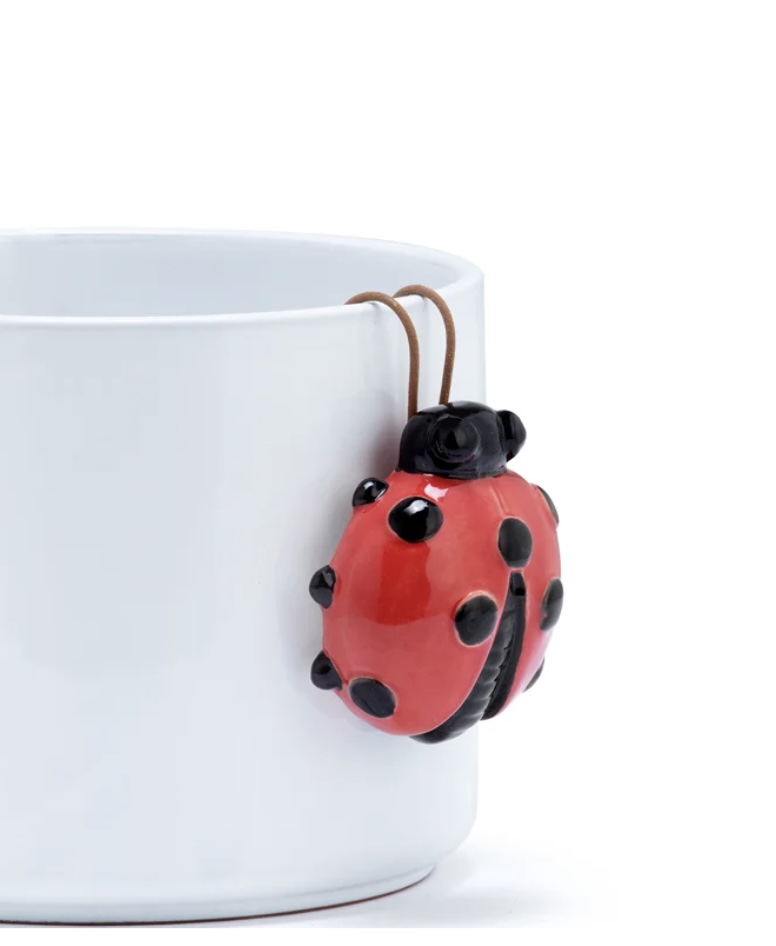 Ladybug Pot Hanger 3.5"