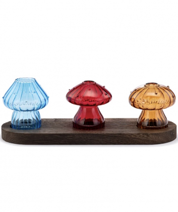 Mushrooms Propagation Stand