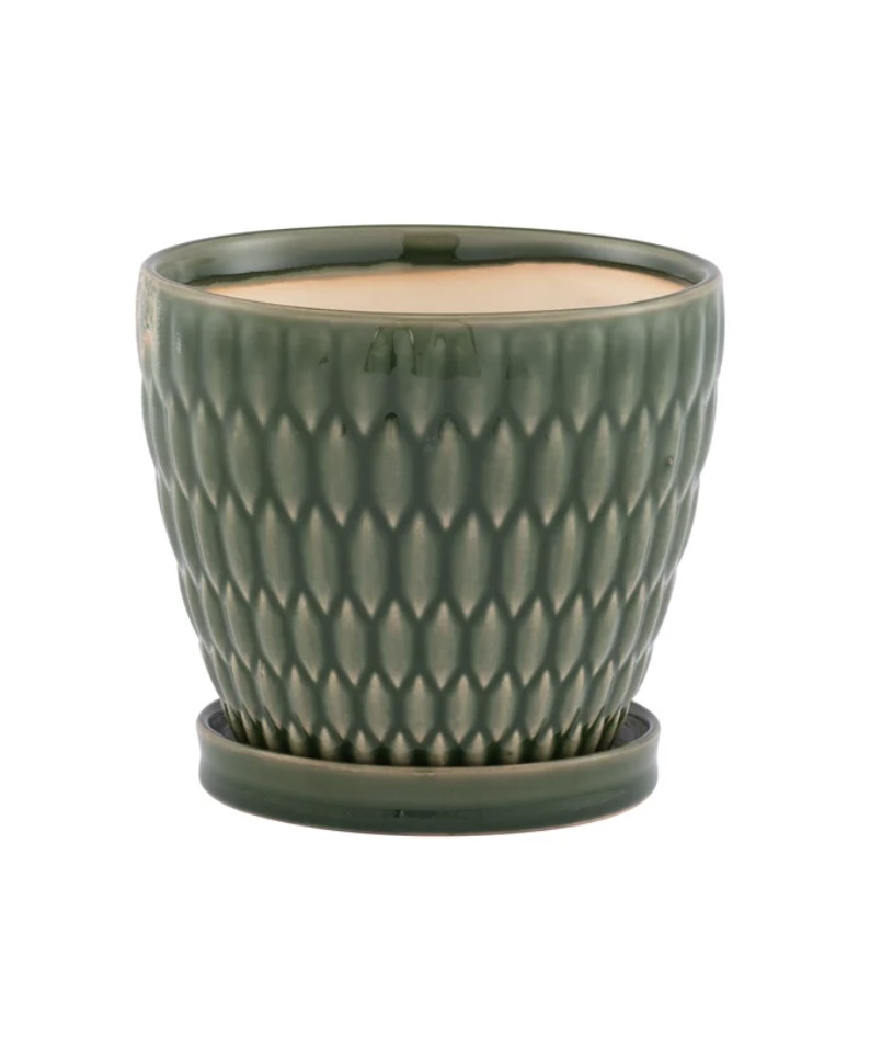 Green Embossed Ovals Planter with Saucer 6"