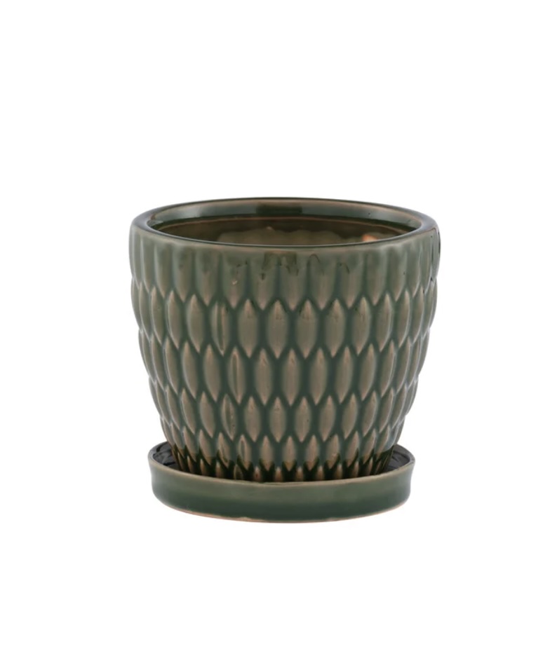 Green Embossed Ovals Planter with Saucer 4.5"