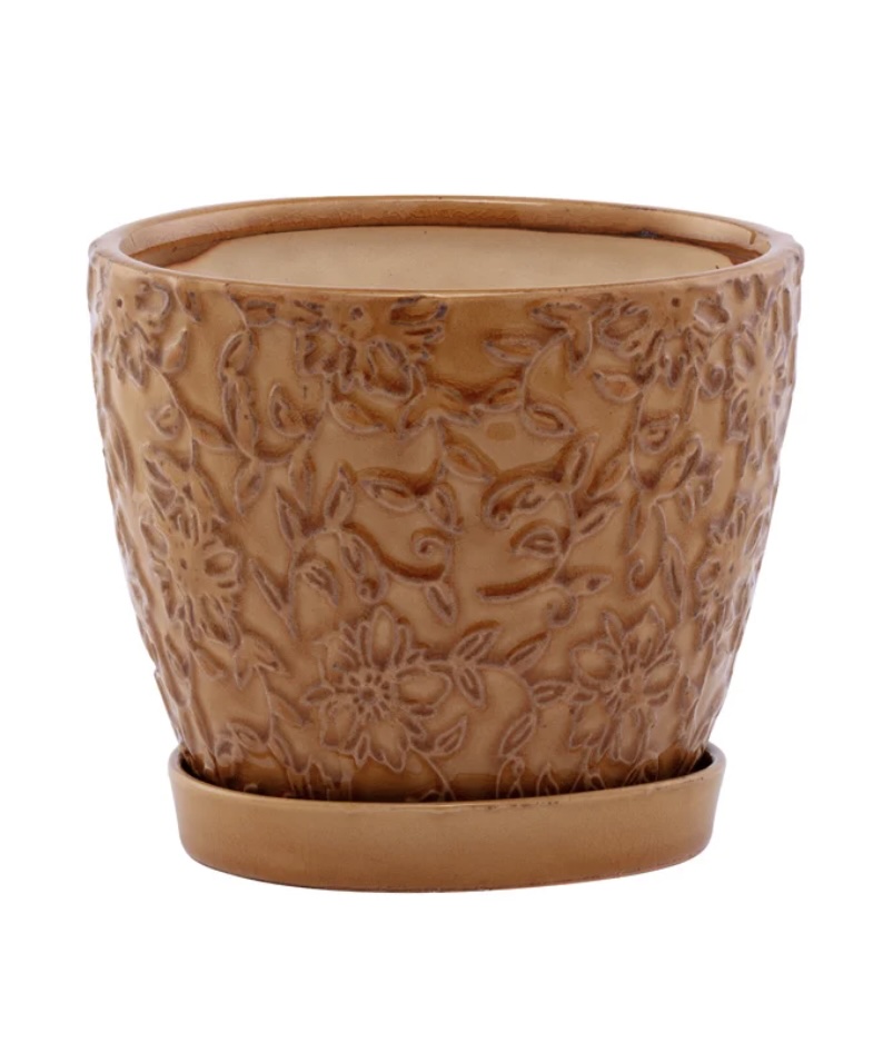 Gold Embossed Vine Planter with Saucer 6"