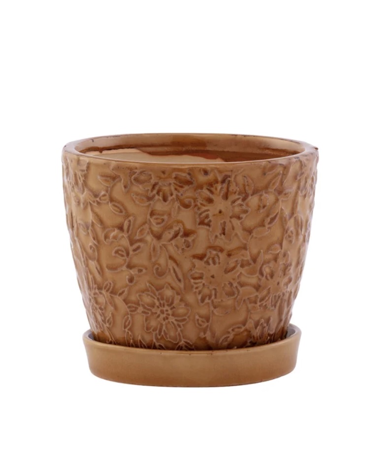 Gold Embossed Vine Planter with Saucer 4.5"