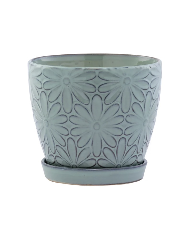 Blue Big Daisy Planter with Saucer 6.5"