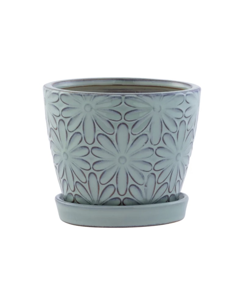 Blue Big Daisy Planter with Saucer 4.5"