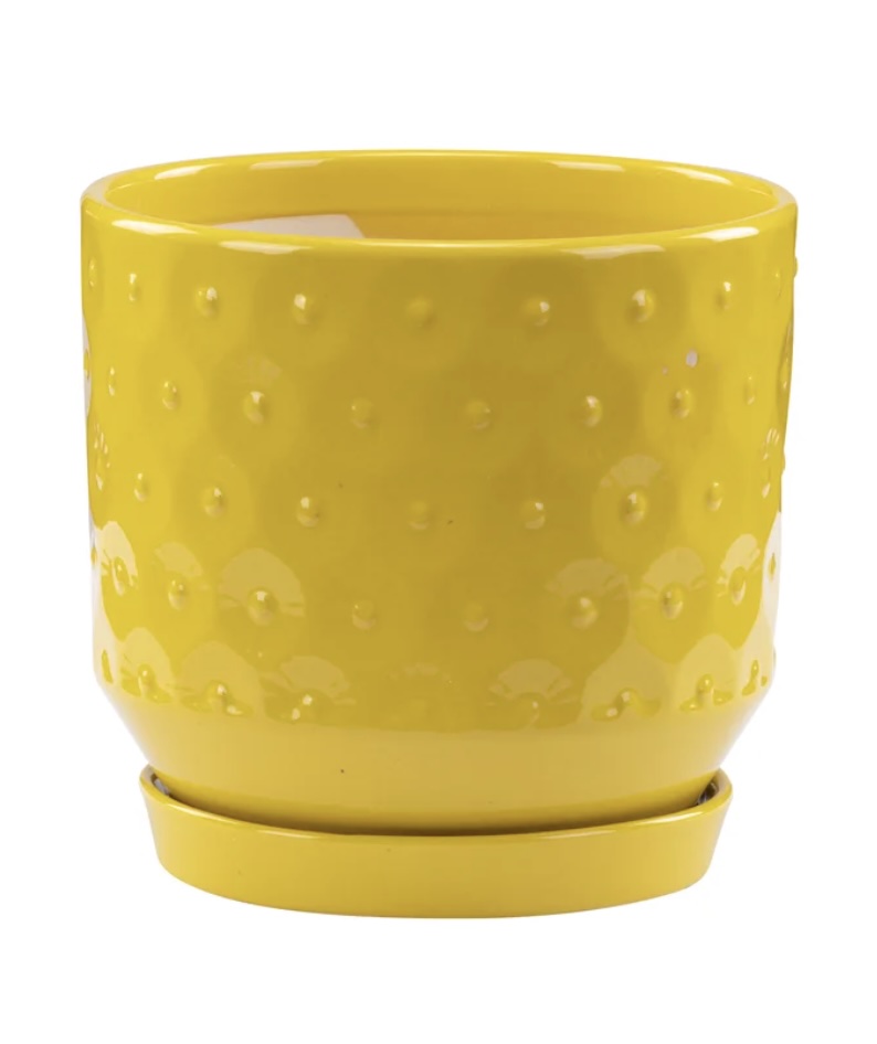 Yellow Circles Planter with Saucer 7.25"