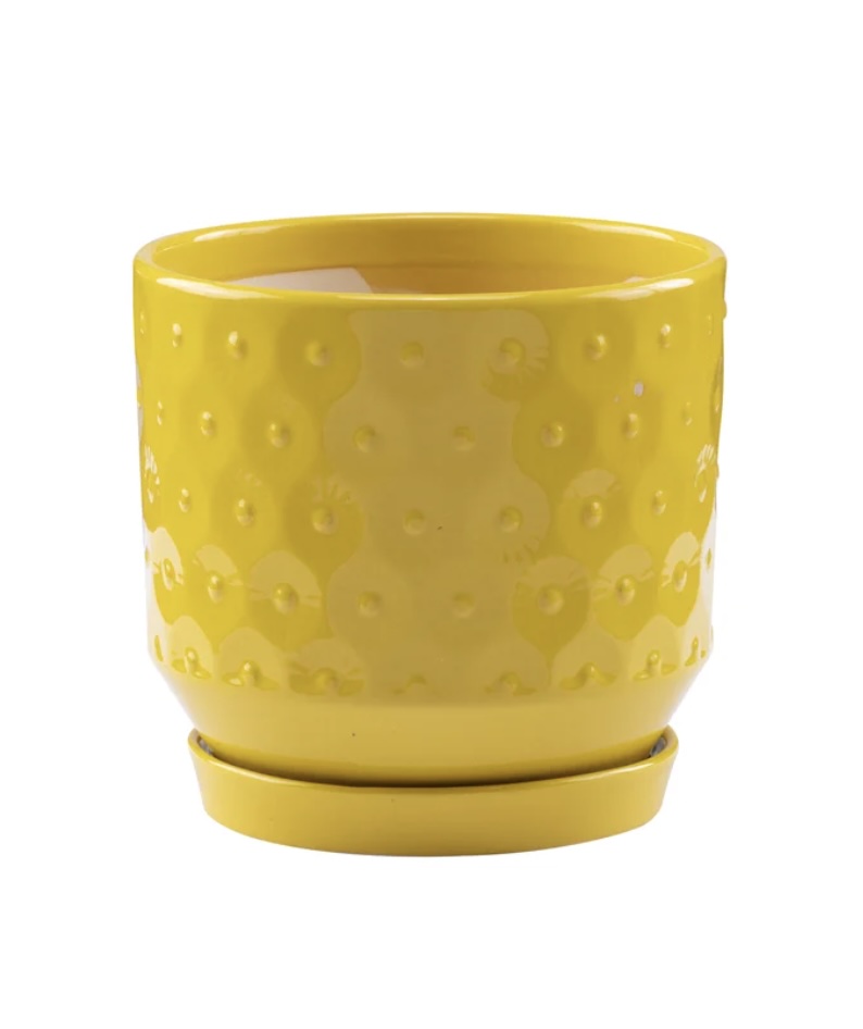 Yellow Circles Planter with Saucer 6.25"