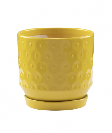 Yellow Circles Planter with Saucer 6.25"