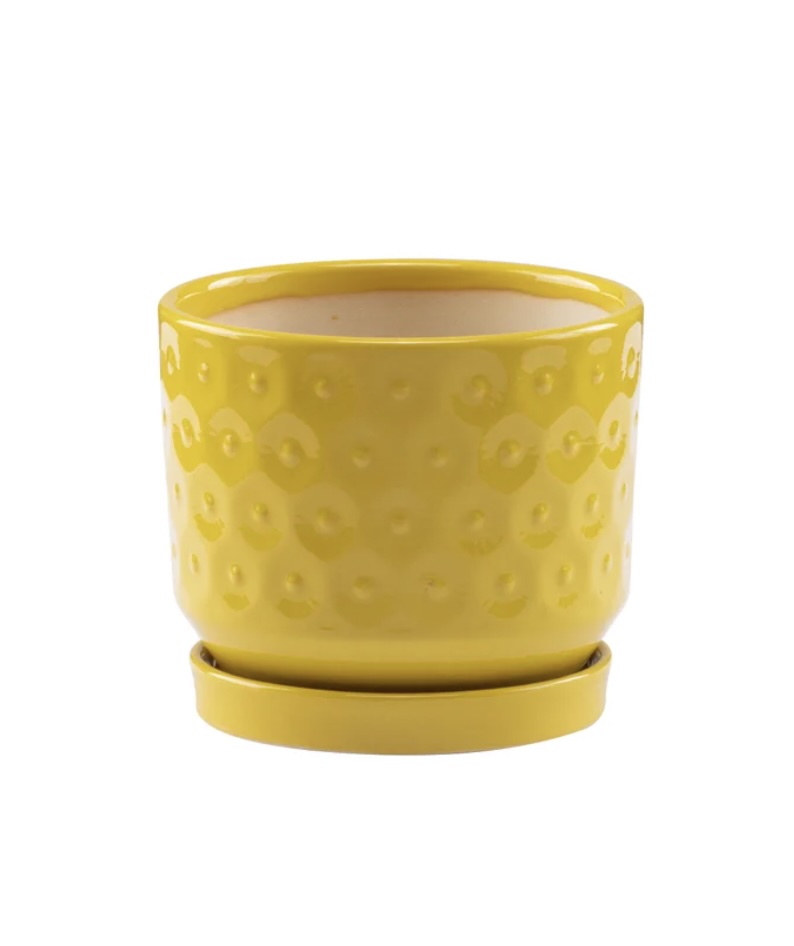 Yellow Circles Planter with Saucer 5"