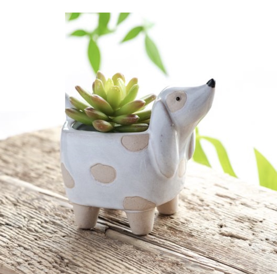 Small Dog Planter