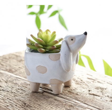 Small Dog Planter