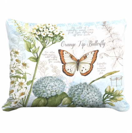 Butterfly Study Pillow 19 X 24 