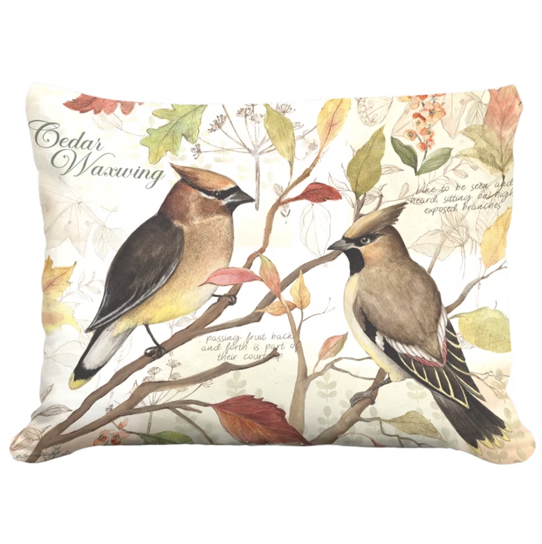 Cedar Waxwing Birds Pillow 19 X 24 