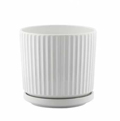 Medium White Ridge Pot with Saucer 6" 