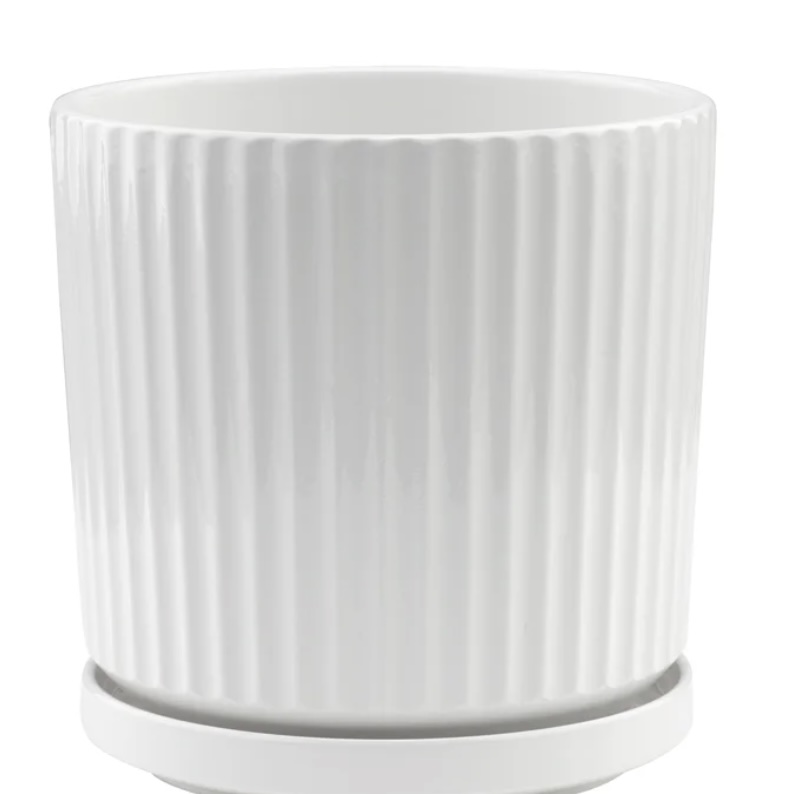 Large White Ridge Pot with Saucer 8" 