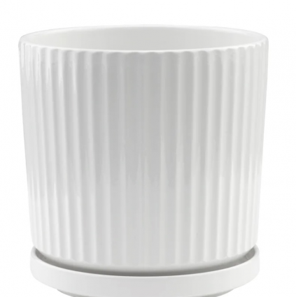 Large White Ridge Pot with Saucer 8" 