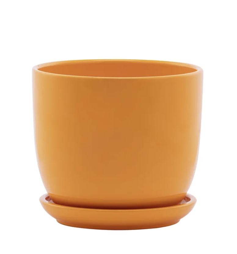Medium Orange Planter with Saucer, 5.25"H 