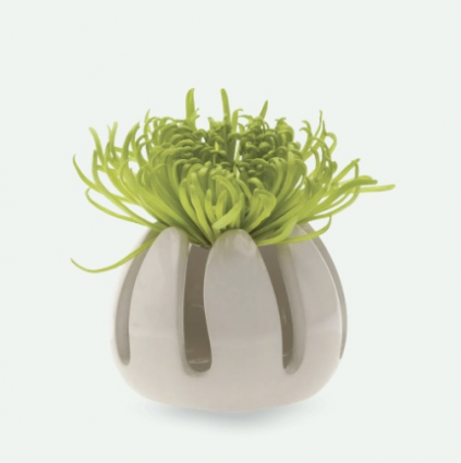 Gideon Ceramic Air Plant Container
