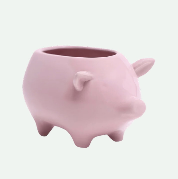 Pig Ceramic Indoor Plant Pot for Succulents