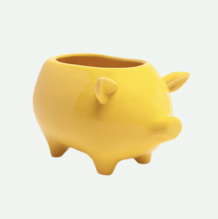 Pig Ceramic Indoor Plant Pot for Succulents