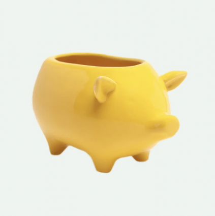 Pig Ceramic Indoor Plant Pot for Succulents