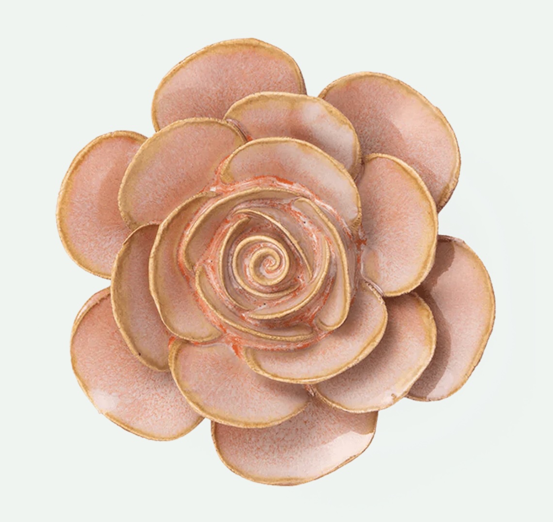 Peach Pink Cloni Ranunculus