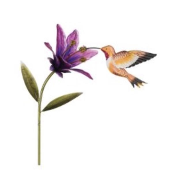 Rufous Hummingbird & Flower Stake