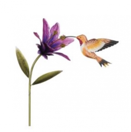 Rufous Hummingbird & Flower Stake