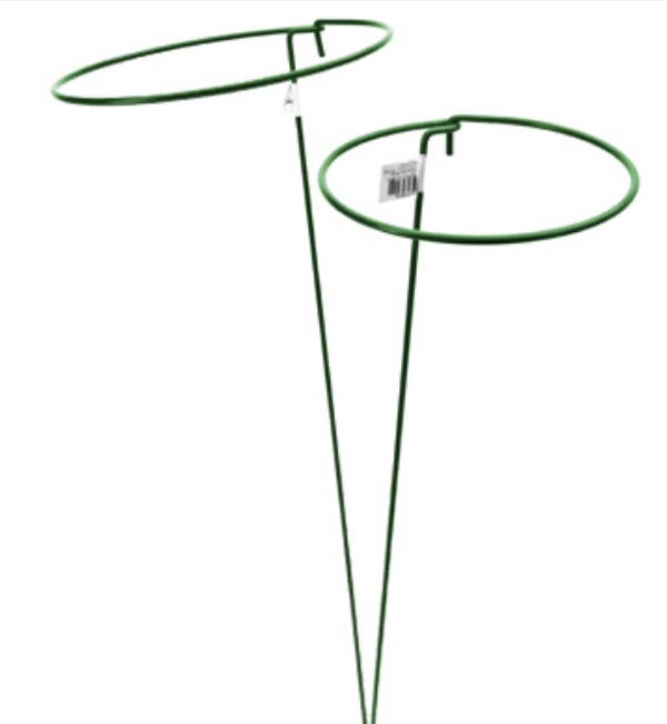 Gathering Ring Plant Support 36-In. x 6-In.  