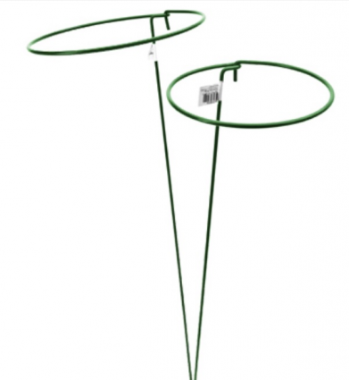 Gathering Ring Plant Support 36-In. x 6-In.  