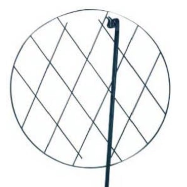 Grow Thru Ring Plant Support 20"