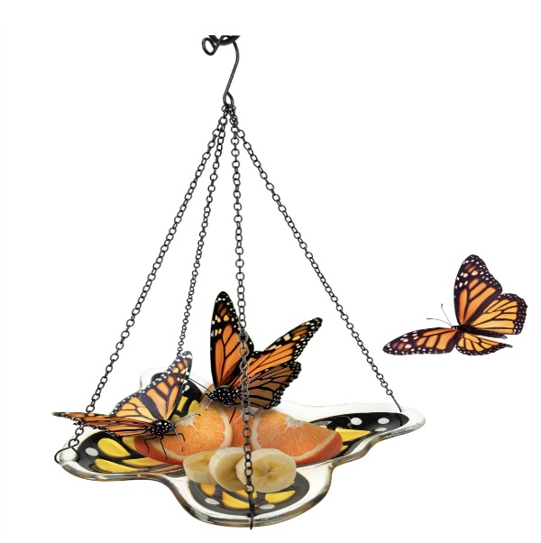 Monarch Fruit Station Platform Feeder