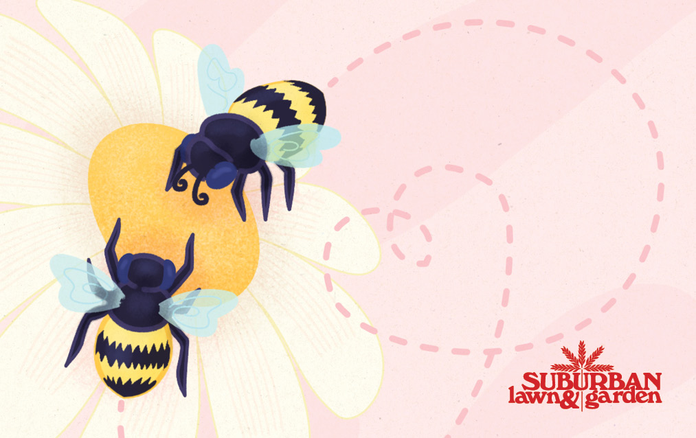 Bumble Bee Love E-Gift Card