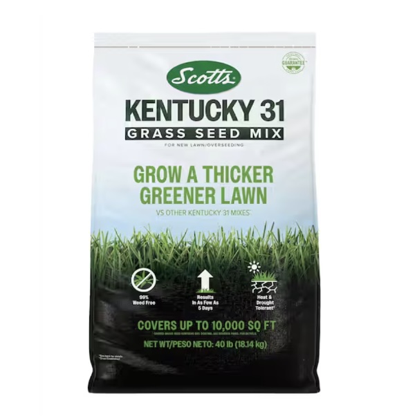 Scotts Kentucky 31 Grass Seed Mix 40 lb.