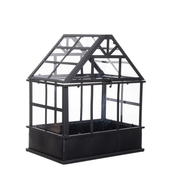 Black Metal & Glass Terrarium 13"W x 9.25"D