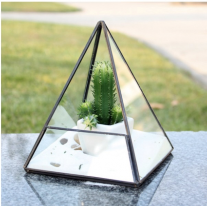 Black Pyramid Glass Terrarium 7.5"H