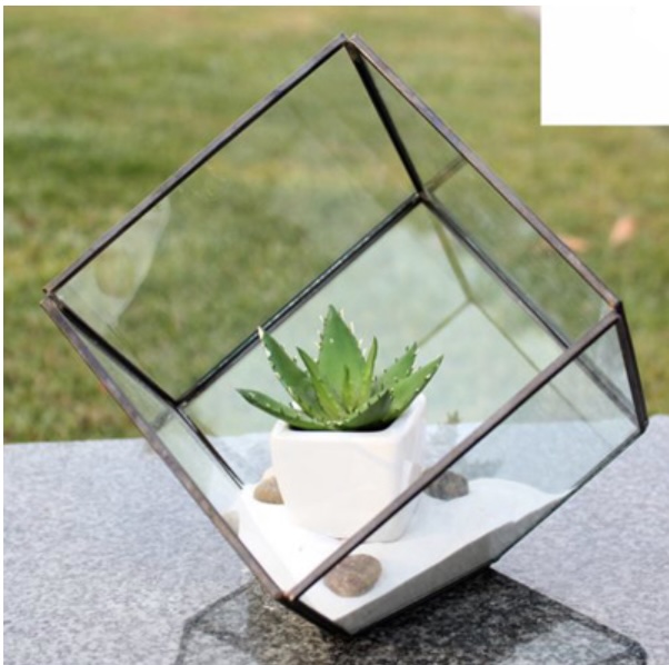 Big Black Tilted Cube Glass Terrarium