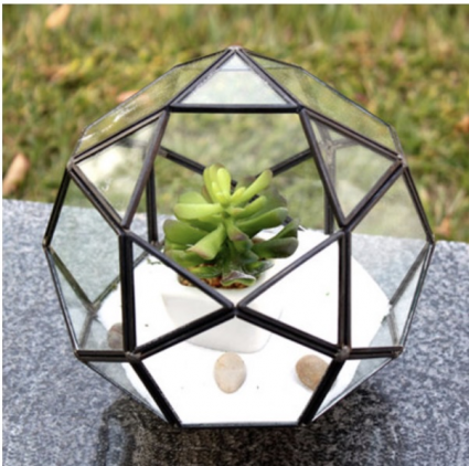 Geometric Icosahedron Glass Terrarium 7.5"